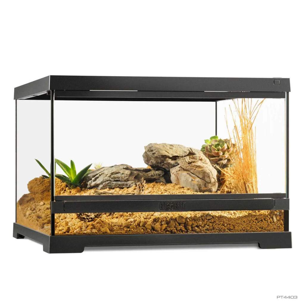 Pro Terrarium